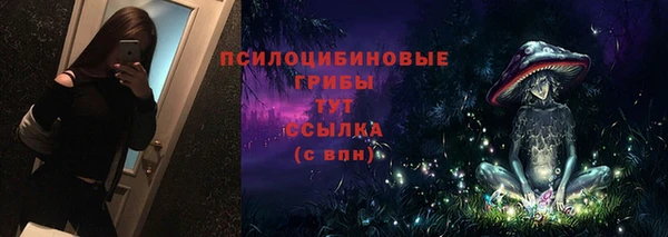 бошки Абаза