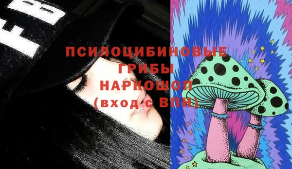 бошки Абаза