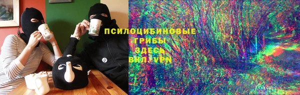 молекула духа Алексин