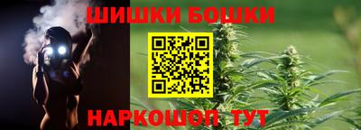 прущие грибы Усть-Илимск