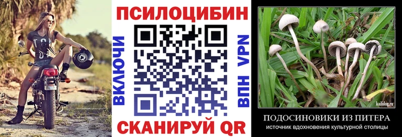 Псилоцибиновые грибы Psilocybine cubensis Стерлитамак