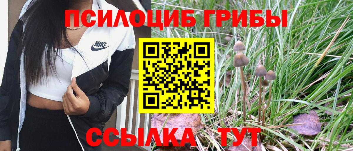Галлюциногенные грибы Psilocybine cubensis  Вход с VPN  Стерлитамак 