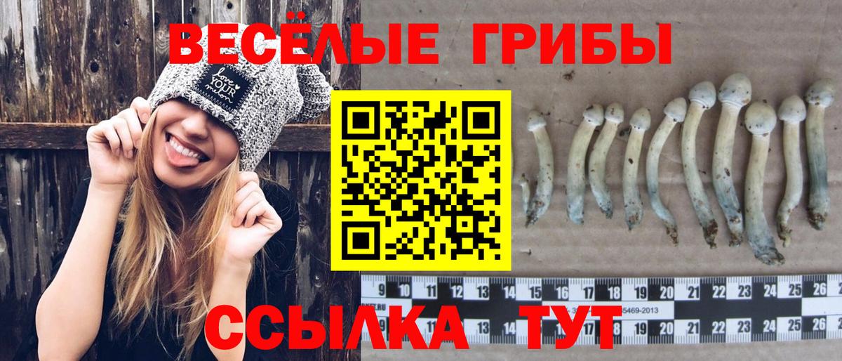 Галлюциногенные грибы GOLDEN TEACHER Стерлитамак